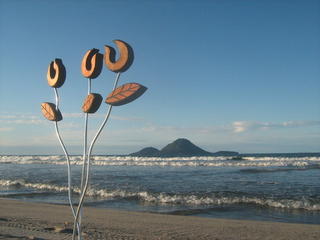 Curli Swirli Plant  $129