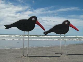 Oystercatchers   $189