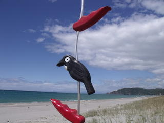 A Tui in the Flax   $109