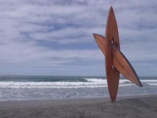 Surfer 1.7m  $229
