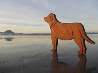 Dog - Best Friend $349