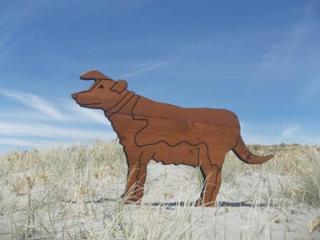 Dog - Sheep Dog  $179