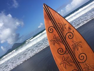 Surfboard 1.75m Palm Tree Design $529