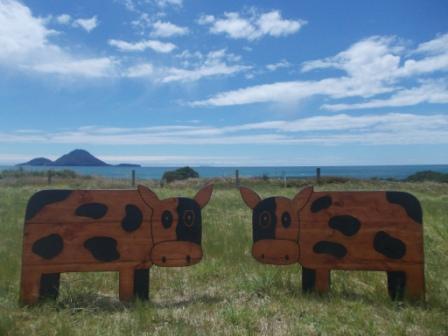 Biggest Cow Pair  $499