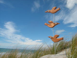 Flock of Seagulls  $219