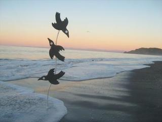 Morning Has Broken