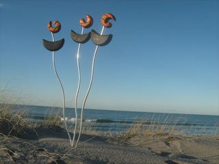 Curliwirligigs