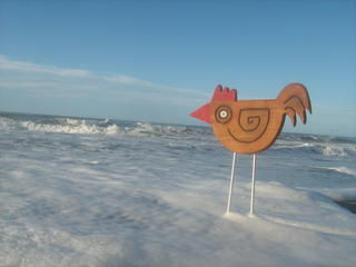 Rooster