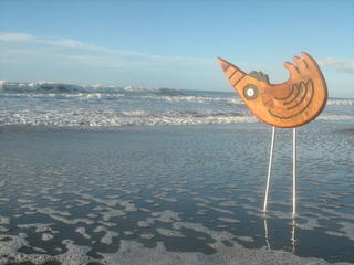 Serendipity Bird