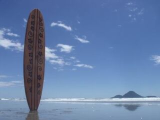 Surfboard Hibiscus $629